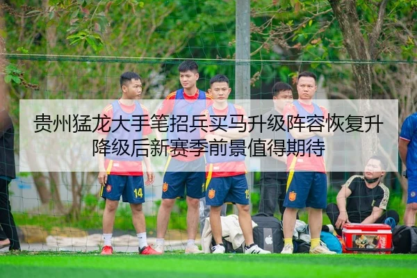 贵州猛龙大手笔招兵买马升级阵容恢复升降级后新赛季前景值得期待